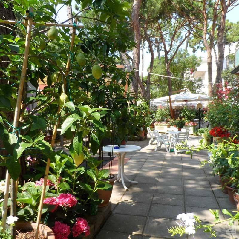 Hotel Selene Milano Marittima Exterior photo